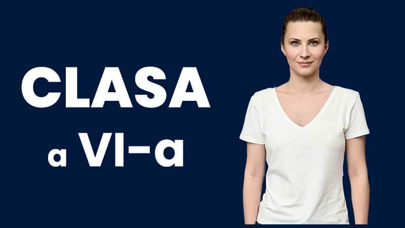 Matematica - Clasa VI-a