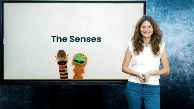 The Senses