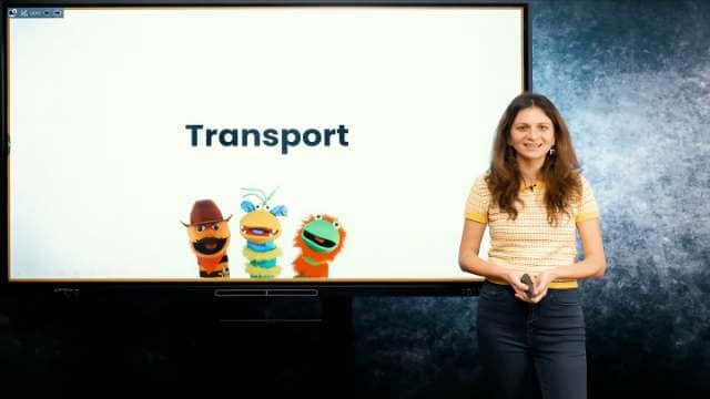 Transport