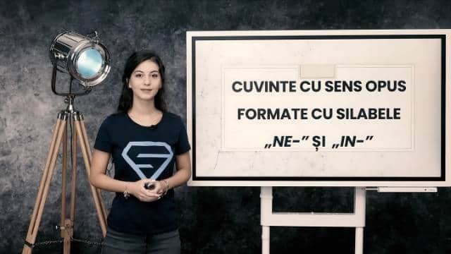 Cuvinte cu sens opus formate cu silabele: ne- și in-
