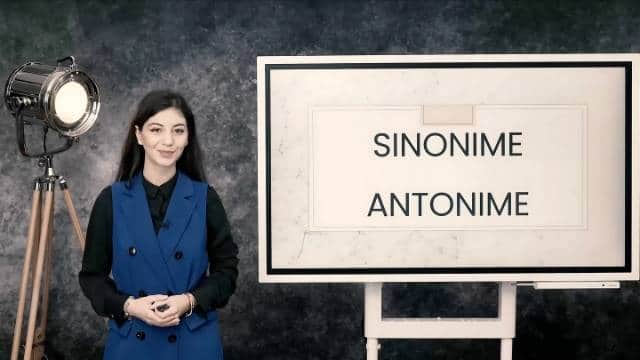 Sinonime. Antonime