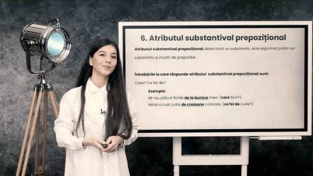 Cazul acuzativ - Atributul substantival prepozițional