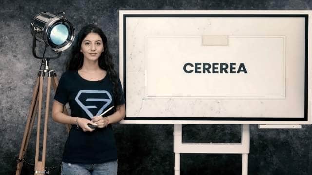 Cererea