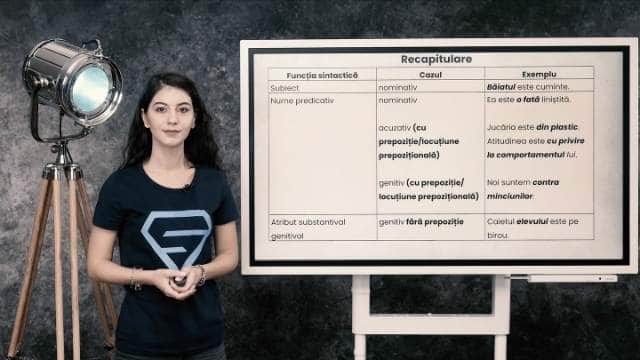 Posibilități combinatorii ale substantivului - Recapitulare