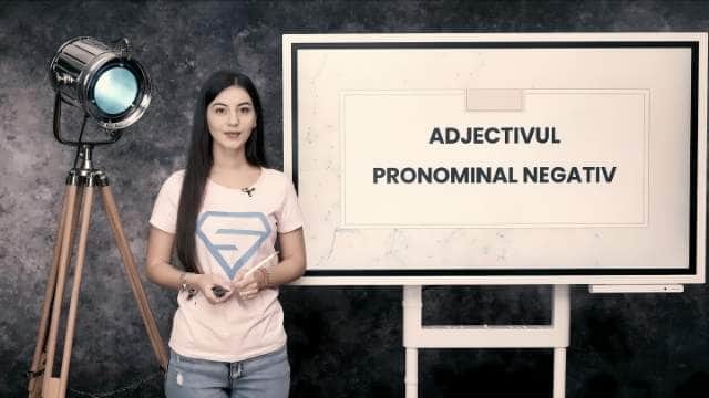Adjectivul pronominal negativ