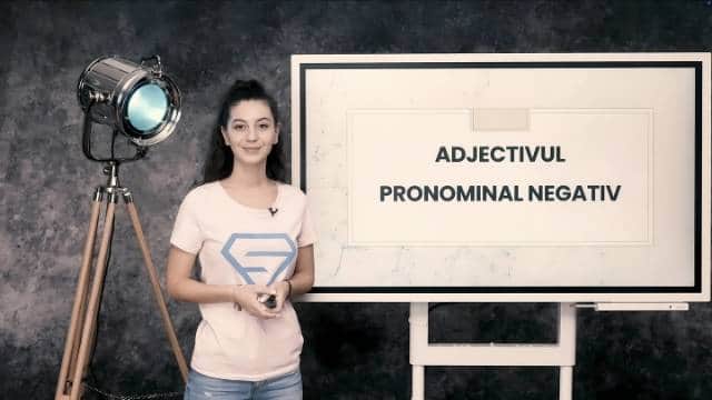 Adjectivul pronominal negativ
