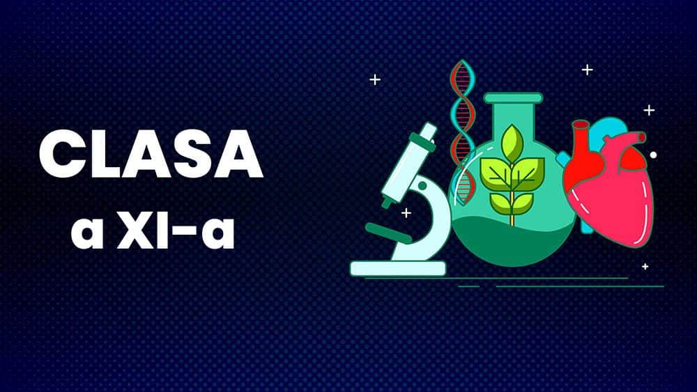 Biologie - Clasa a XI-a