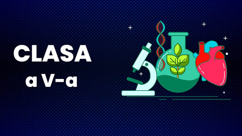 Biologie - Clasa a V-a