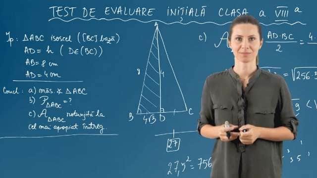 Test evaluare inițiala - Model 1