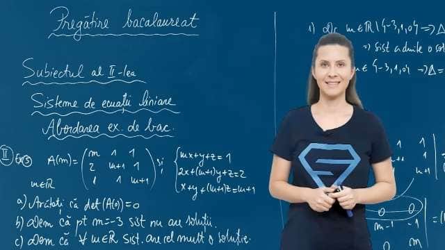 Sisteme de ecuații liniare. Exerciții - P5