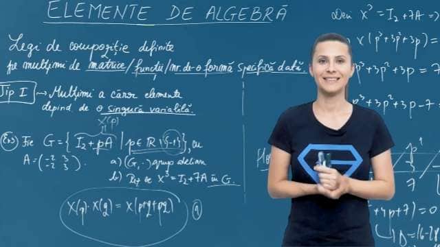 Multimi a caror elemente depind de o singura variabila - P3