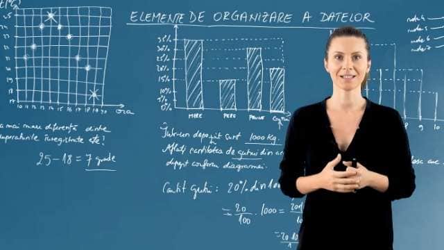 Elemente de organizare a datelor