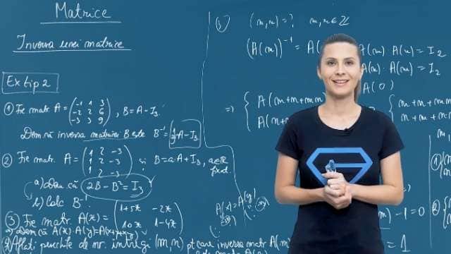 Inversa unei matrice - Exercitii tip 2