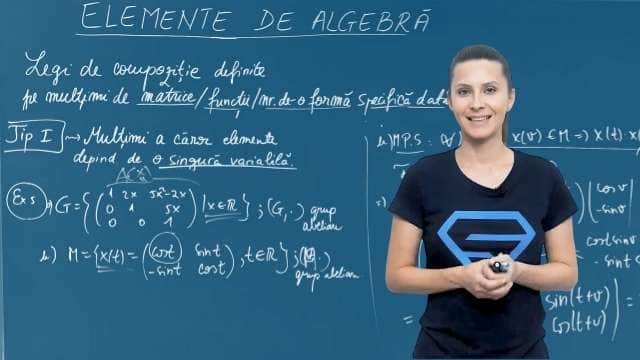 Multimi a caror elemente depind de o singura variabila - P5