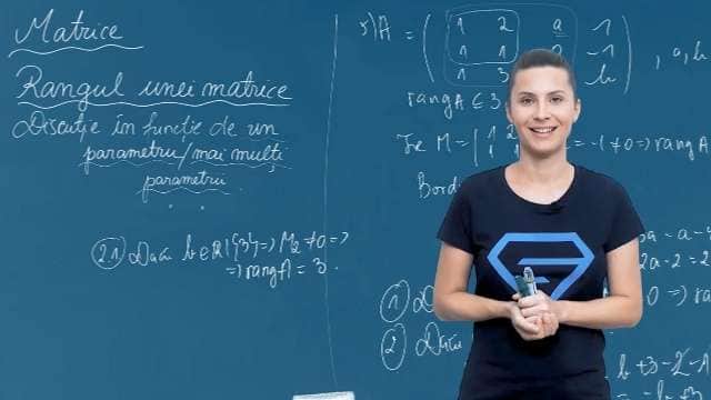 Rangul unei matrice - discutie în funcție de unul sau mai multi parametri - P2