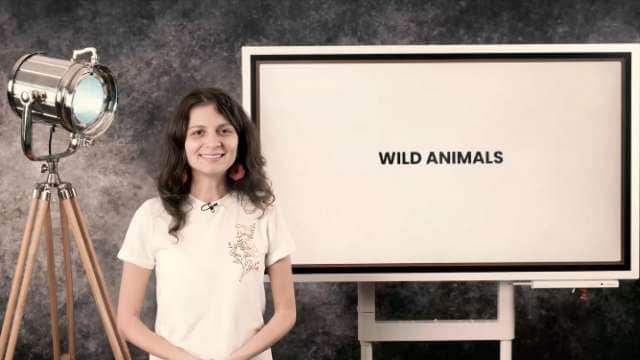 Wild animals