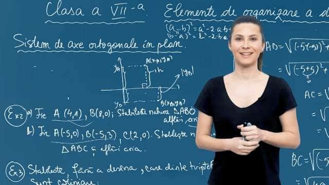 Sistem de axe ortogonale in plan