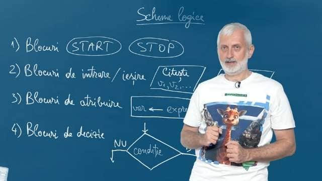 Scheme logice