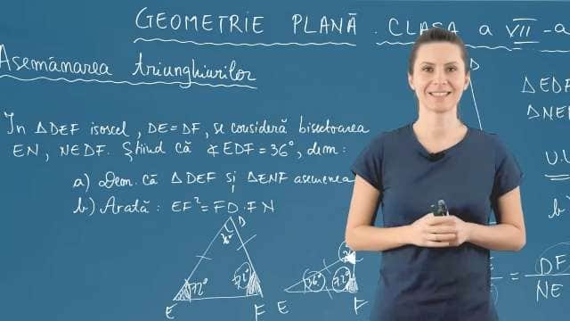 Asemănarea Triunghiurilor - P7