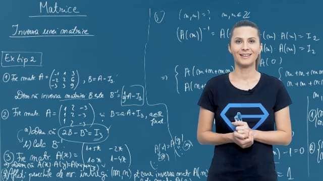 Inversa unei matrice - Exercitii tip 2