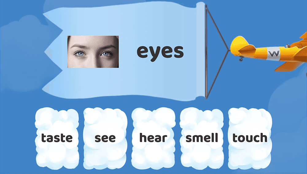 GAME - The body and senses