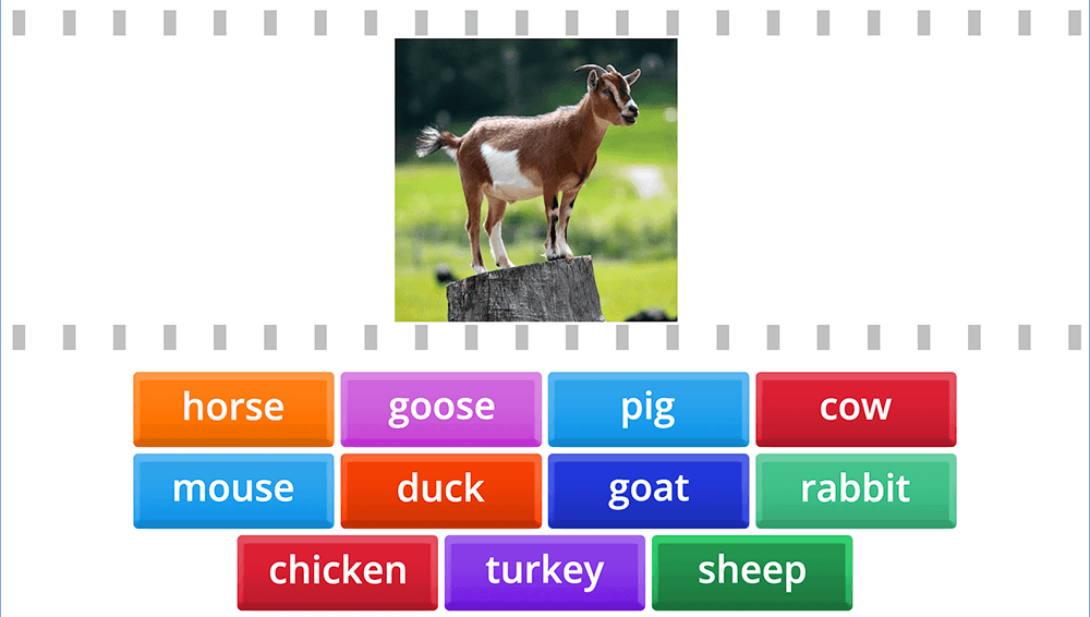 GAME - Animals on the farm